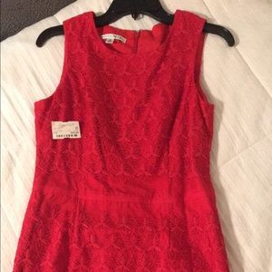 Maggy London brand new dress. Never been worn.